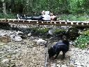 IMG_20190731_134025